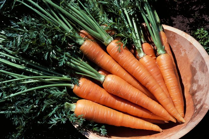 Carrots in Bowl
