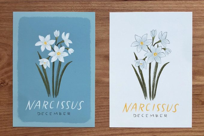 Narcissus Paperwhite December Birth Month Flower Floral Illustration Art Print