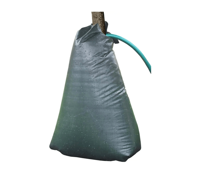 tree bag