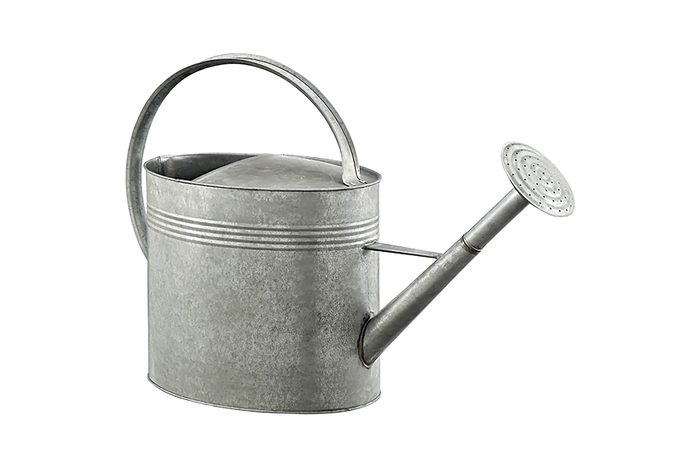 A classic galvanized iron watering can with rounded handle.
