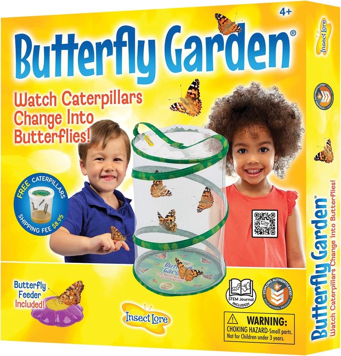 butterfly garden kit