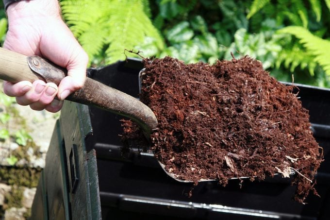 Hand Holding Shovel Full of Compost, Home Composting