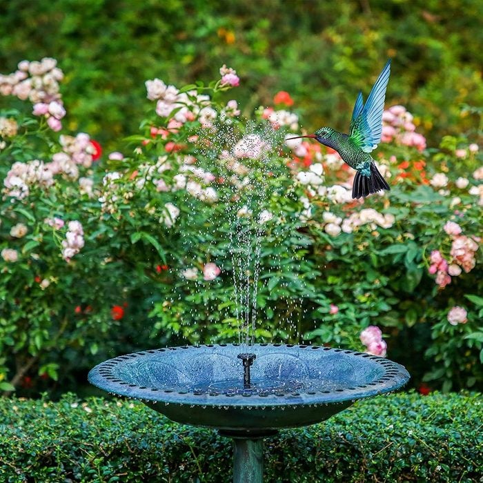 Solar Fountain For Birds