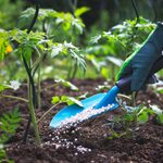 Plant Fertilizer 101: How to Feed Your Garden
