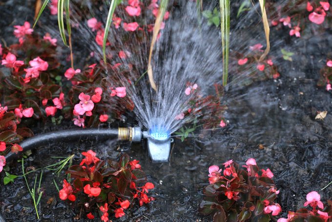 Garden sprinkler watering the outdoor flower bed