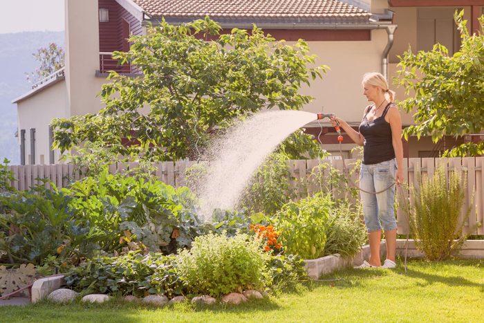 11 Landscaper Wont Tell You Water