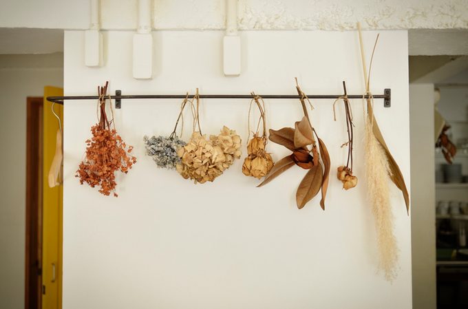 Dried flowers displayed in cafe