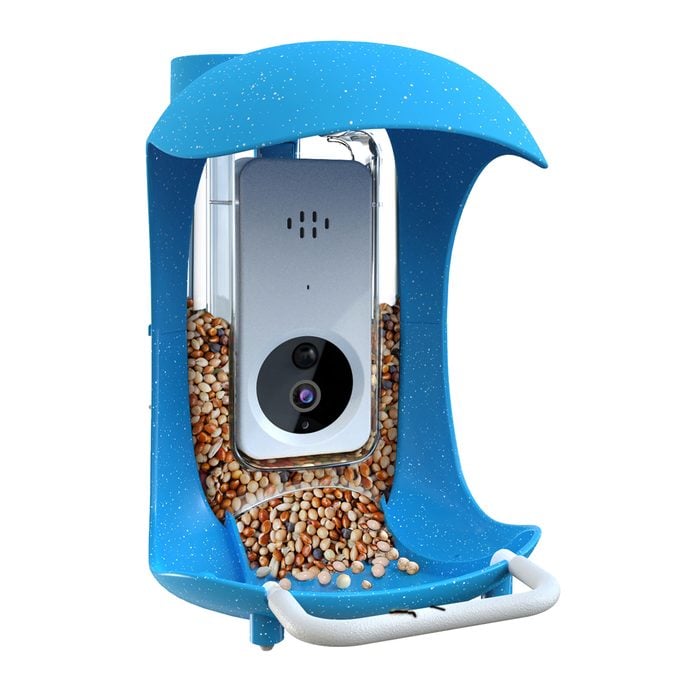 A smart bird feeder with a built-in camera to snap photos of visitors.