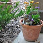 How to Keep Squirrels From Digging Up Flower Pots and Bulbs