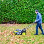 Fall Leaves Make Great Mulch for Your Lawn