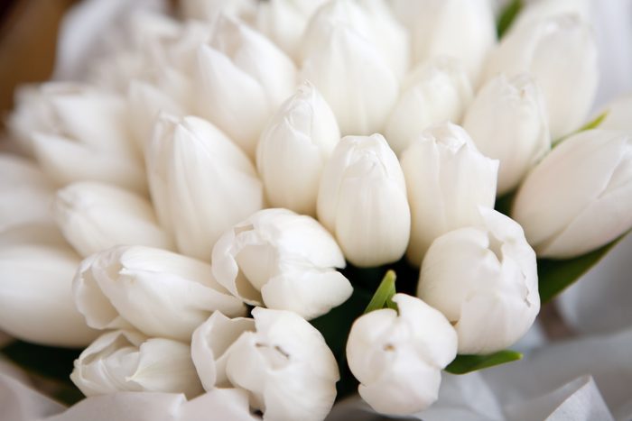 White Tulip Bouquet Detail