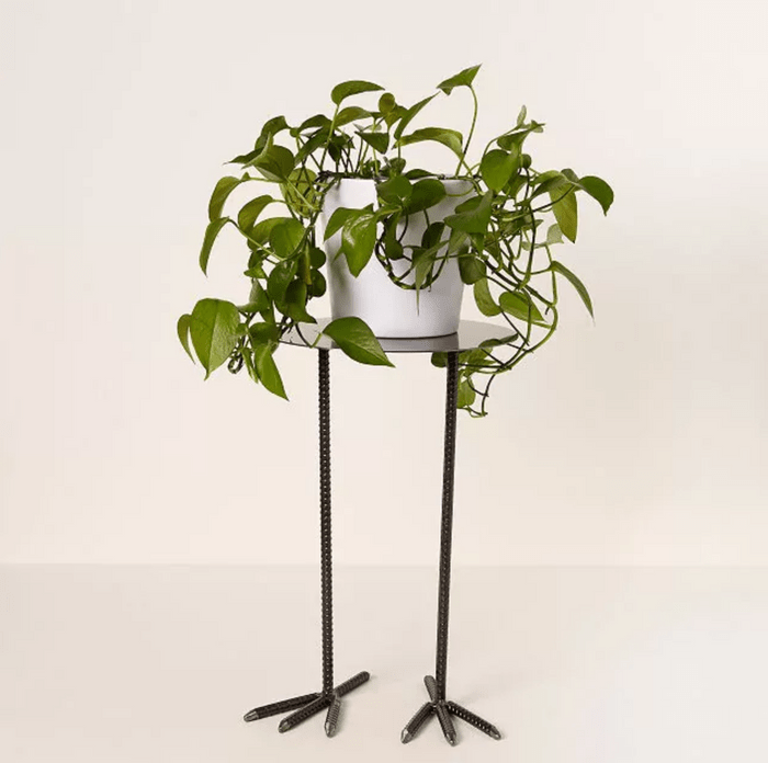 bird legs plant stand