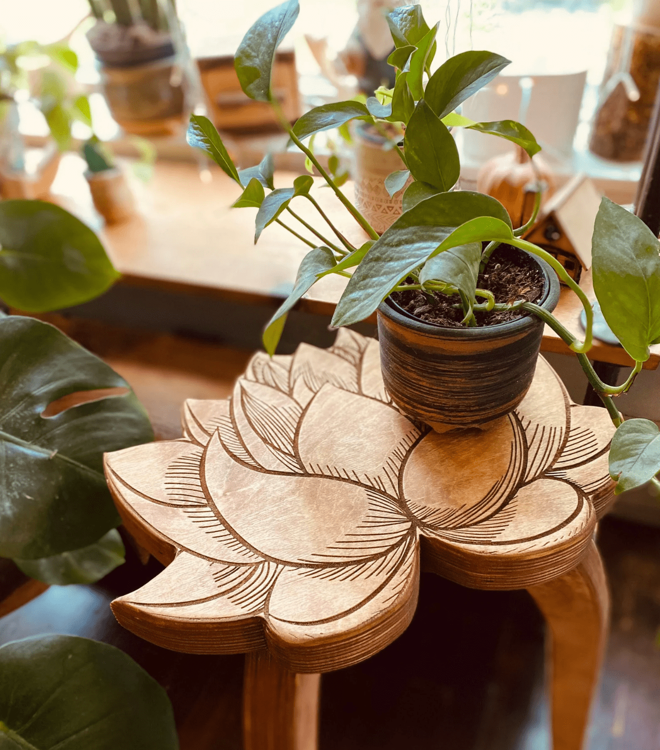 lotus flower plant stand