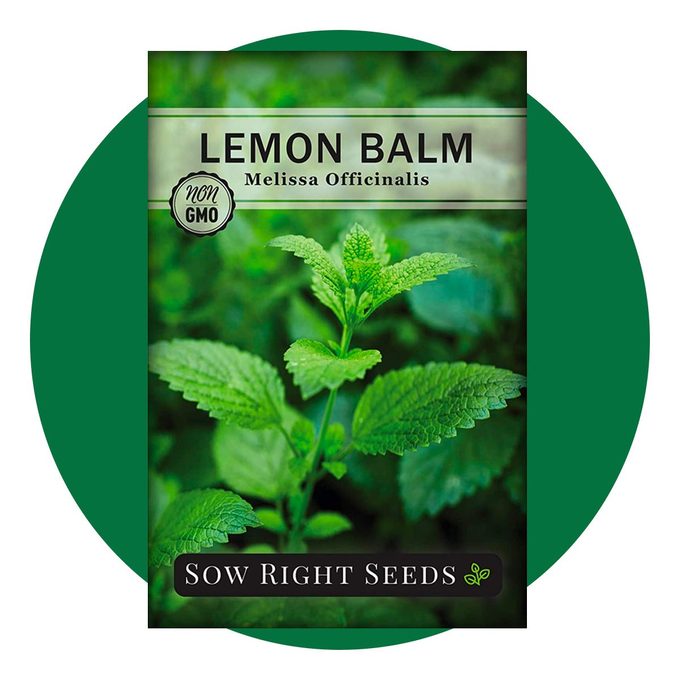 Th House Plants Ecomm Via Amazon 7 Lemon Balm
