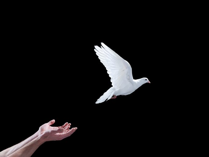 A white dove flying out of hands