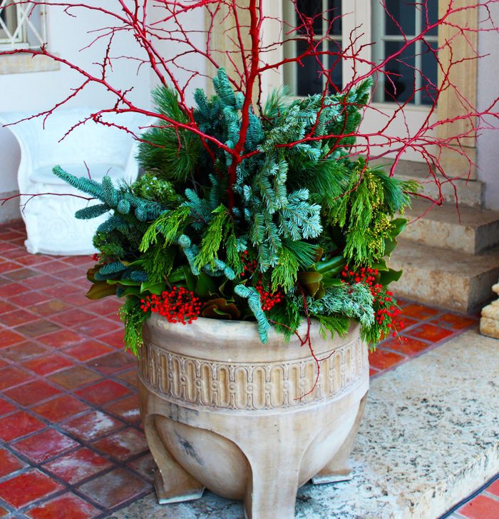 Clay pot of greenery on terrace with red berries and red branches - Christmas decor