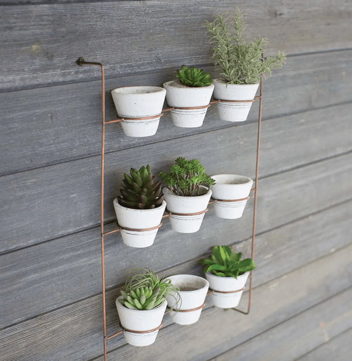 wall mounted succulent pots