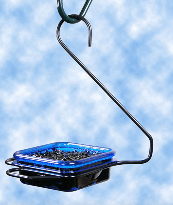 dish bird feeder