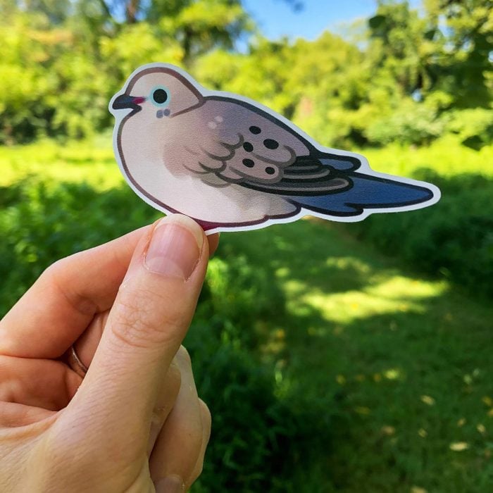 Mourning Dove Sticker Ecomm Via Etsy.com