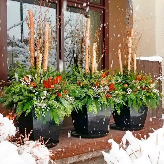 A trio of winter planters filled with birch branches, berries and ornaments.