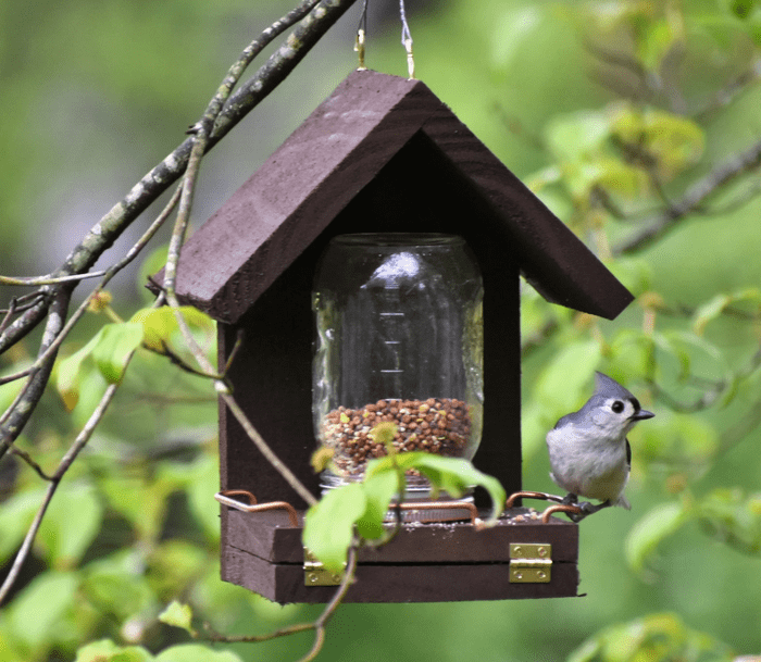 mason jar wooden bird feeder