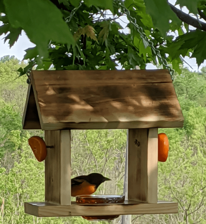 wooden oriole feeder
