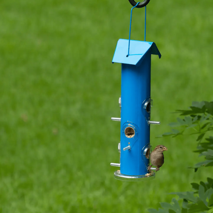 Screen Shot 2022 12 13 At 8.42.07 Am, tube bird feeders