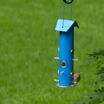 The Best Tube Bird Feeders for Your Yard