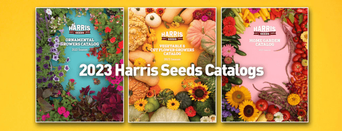 seed catalog