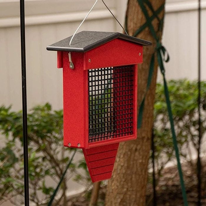 woodpecker bird feeders, Dutchcrafters Hanging Suet Bird Feeder Ecomm Via Etsy.com