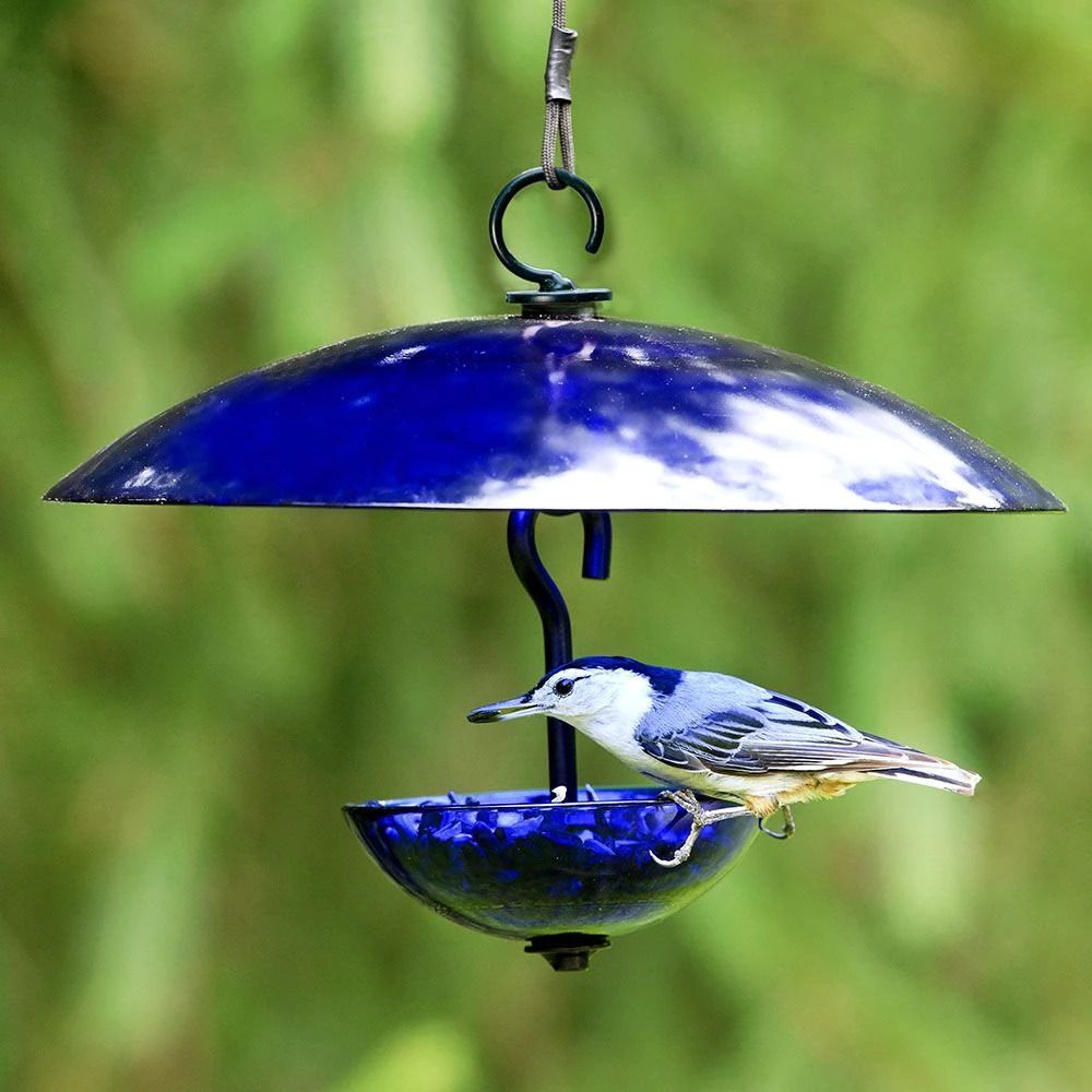 9 Gorgeous Glass Bird Feeders for Your Yard - Birds and Blooms