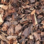 6 Best Types of Mulch to Use in Your Landscape
