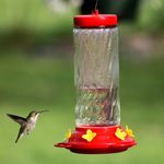12 Frequently Asked Questions About Feeding Hummingbirds