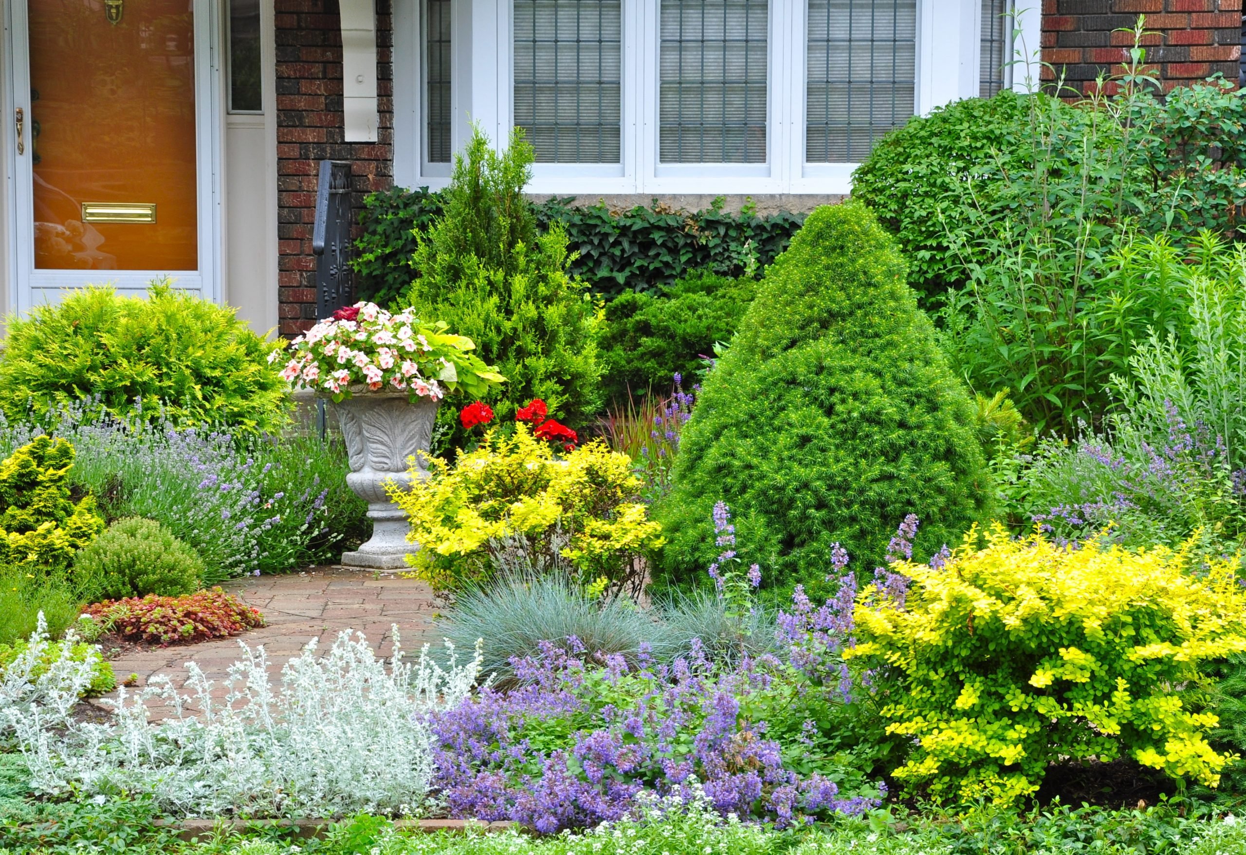 Top 10 Front Yard Landscaping Ideas Birds And Blooms