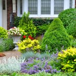 Top 10 Front Yard Landscaping Ideas