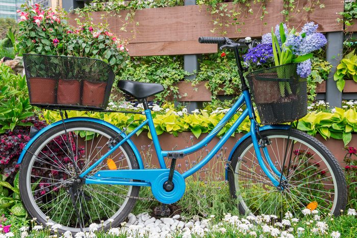 bicycle in garden