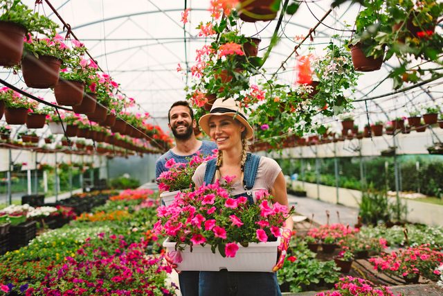 how to pick a plant at the garden center