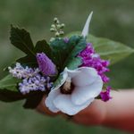 Grow a Cutting Garden for Beautiful Bouquets