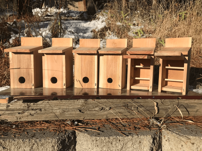 roosting boxes