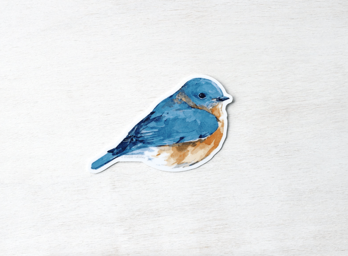 bluebird sticker