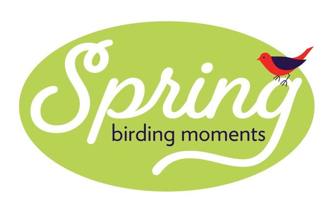 Spring Birding Moments Video Contest