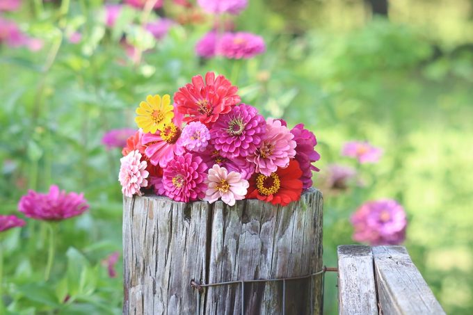 A cutting garden will give you beautiful bouquets such as this one made with zinnia blooms.