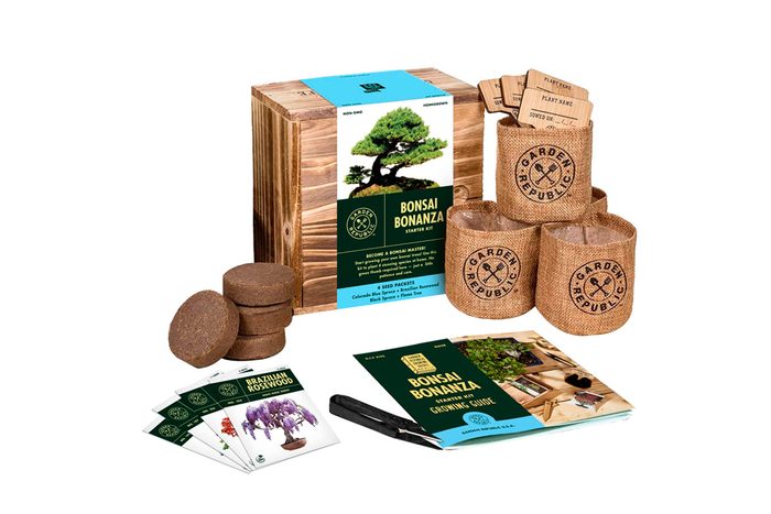 Bonsai Tree Seed Starter Kit Ecomm Amazon.com