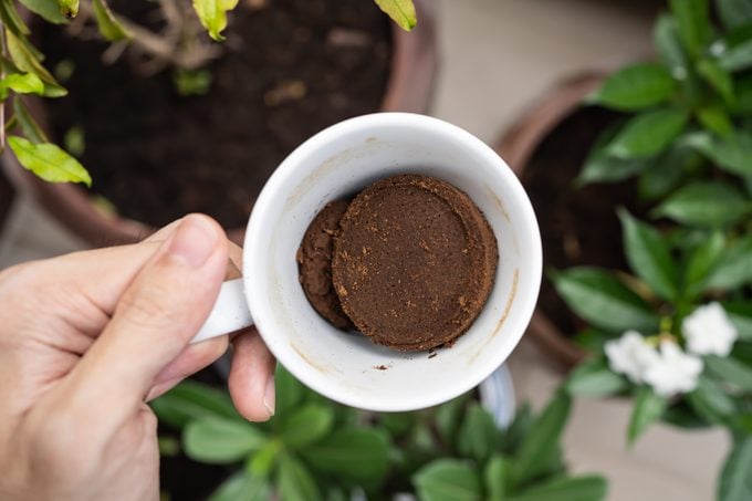 Using coffee ground as a fertilizer