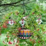 This Hanging Basket Hummingbird Feeder Is a Colorful Treat for Birds and Your Backyard