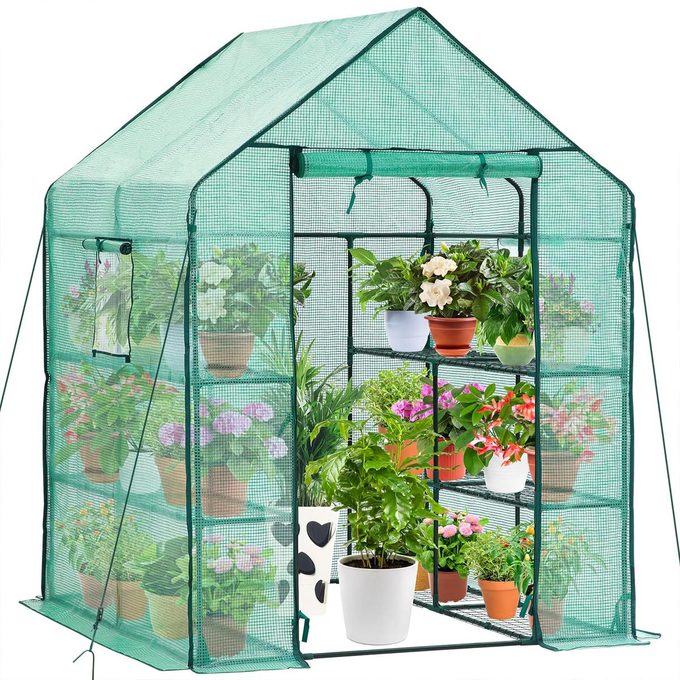 Where To Buy The Amazon Greenhouse