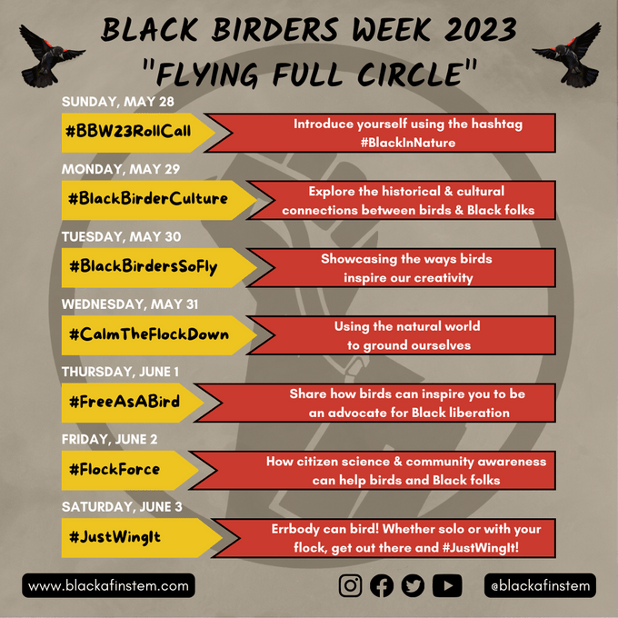 Bbw23 Week+hashtags+&+descriptions