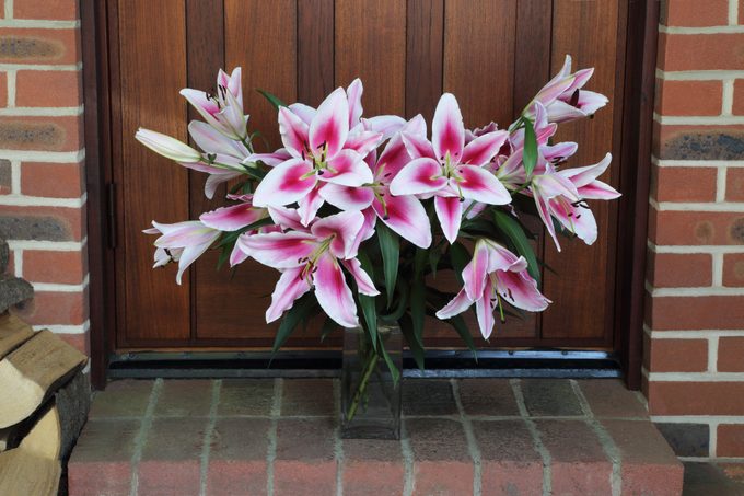 Bunch of stargazer lilies left in vase on doorstep as gift.