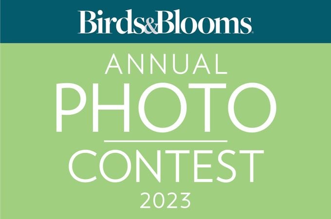 2023 Annual Birds & Blooms Photo Contest
