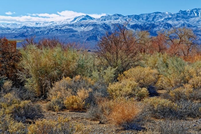 Desert National Wildlife Refuge Mountains